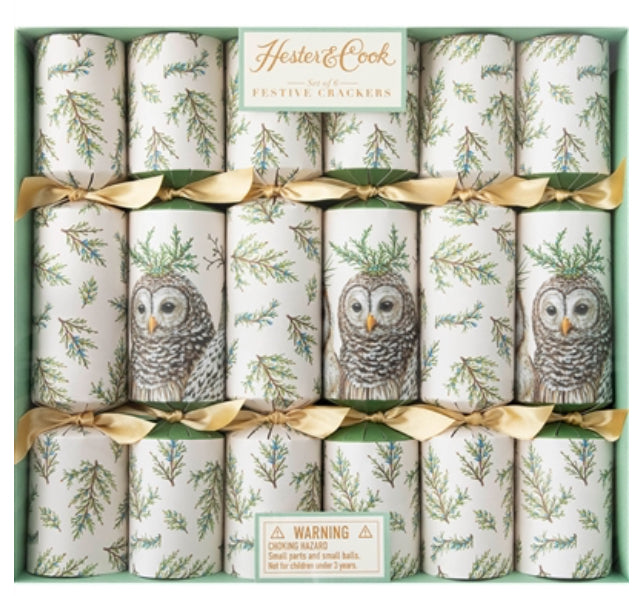 Crackers, Mr. Owl (Box of 6)