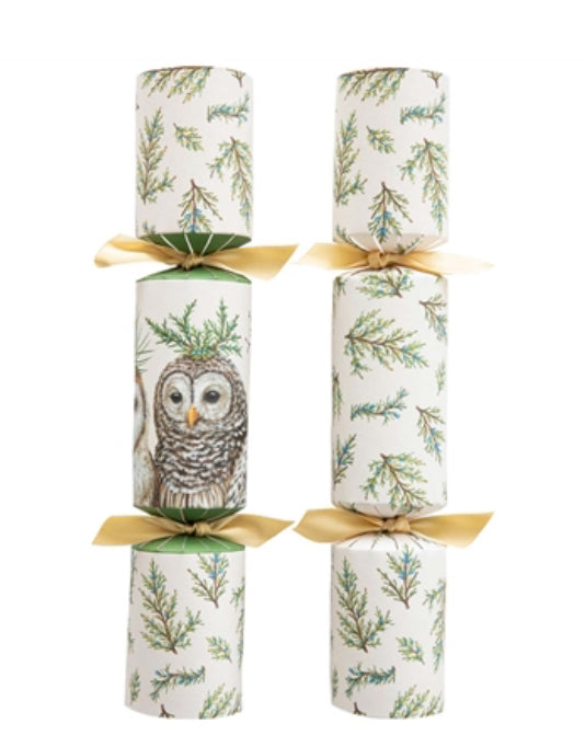 Crackers, Mr. Owl (Box of 6)