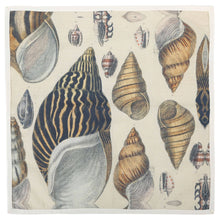 Napkins, Conch (Set of 4)