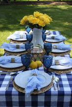 You Blue Me Away Tablescape Kit w/o Vases | Table Terrain blue gingham tablescape, brunch table decorations, picnic tablescape kit