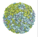 Placemats, Blue Hydrangea (Set of 12)