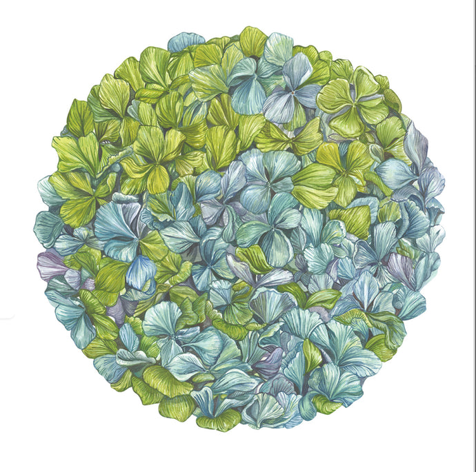 Placemat, Blue Hydrangea